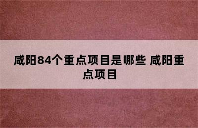 咸阳84个重点项目是哪些 咸阳重点项目